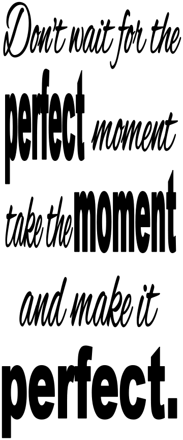 DON'T WAIT FOR THE PERFECT MOMENT