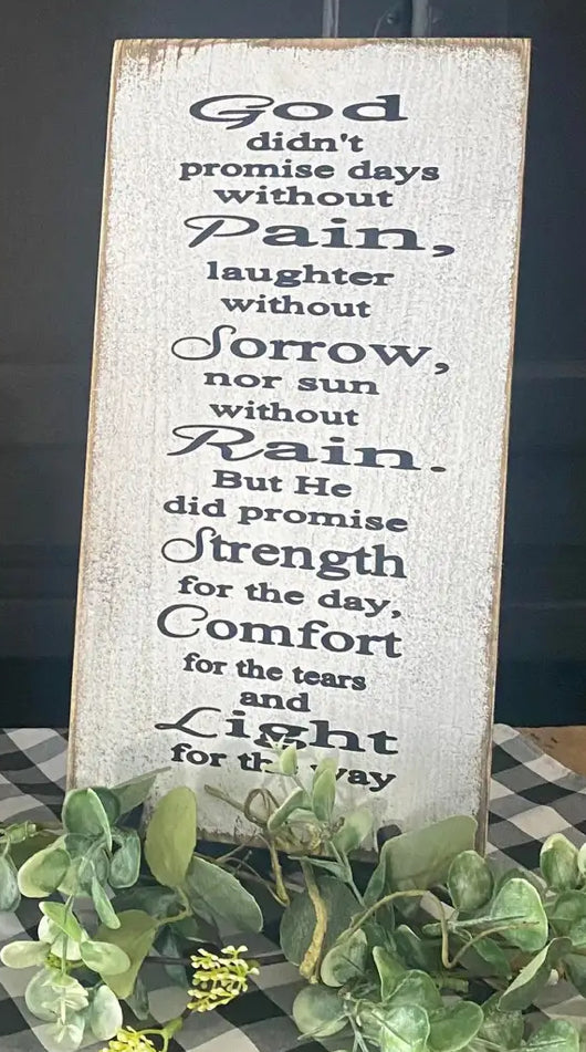 God didn’t promise 10x20 tote 5