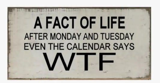 A FACT OF LIFE AFTER MONDAY Tote 2