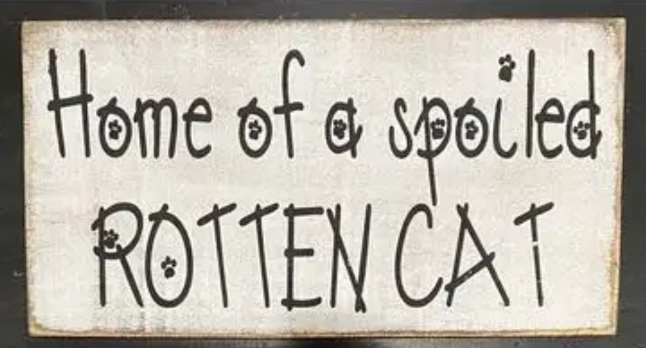 Home of a spoiled cat