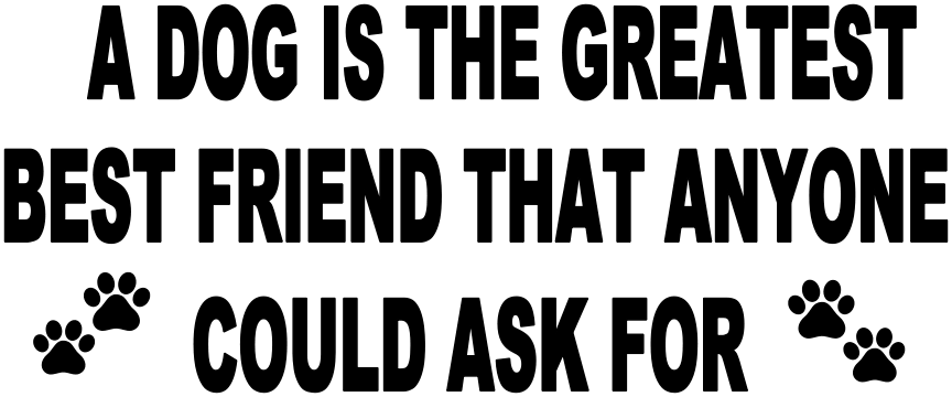 A DOG IS THE GREATEST BEST FRIEND ANYONE COULD ASK FOR