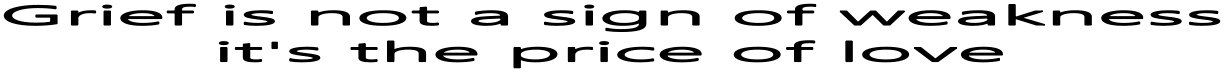 GRIEF IS NOT A SIGN OF WEAKNESS IT'S THE PRICE OF LOVE