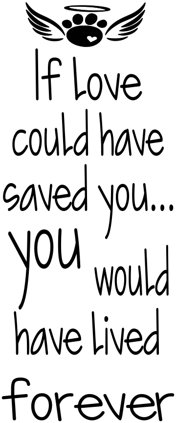 IF LOVE COULD'VE SAVED YOU PET