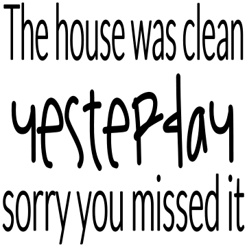 THE HOUSE WAS CLEAN YESWTERDAY SORRY YOU MISSED IT tote 10