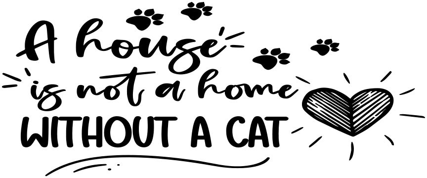 a house is not a home without a cat