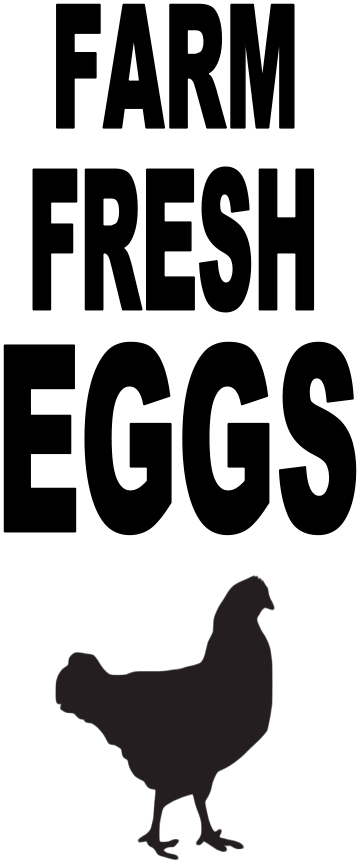 FARM FRESH EGGS (WITH CHICKEN)