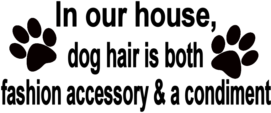 IN OUR HOUSE DOG HAIR